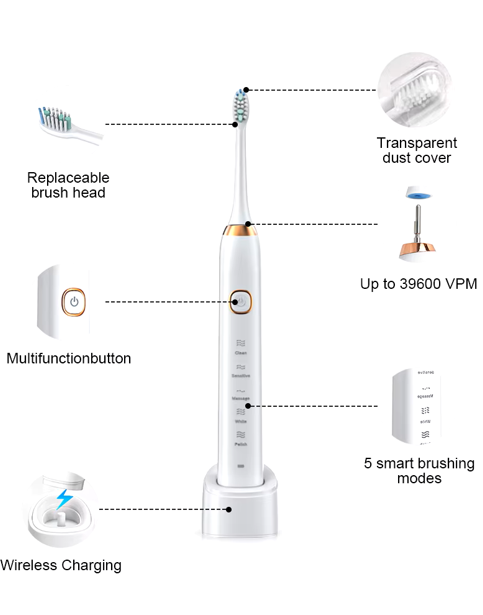 Sonic Electric Toothbrush